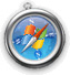 Safari for Windows