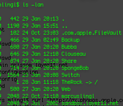 Terminal